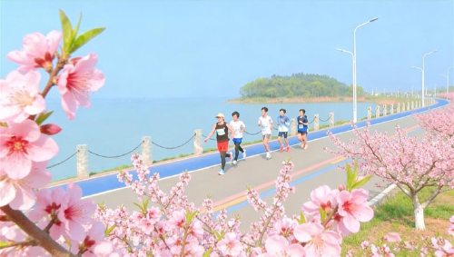 奔跑在春天里