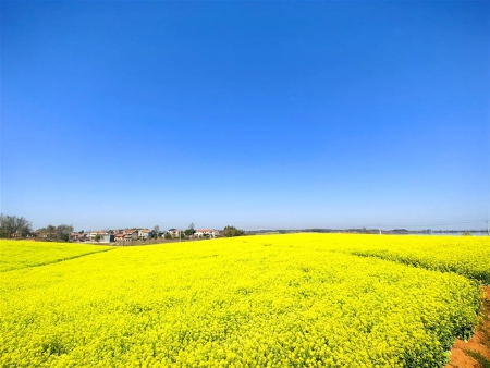 奔跑在春天里